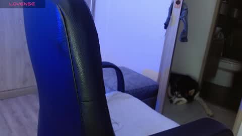 Snapshot of _tinyrousse_ chatting on 23, 2, 2026 Rousse online show from 23, 2, 2026