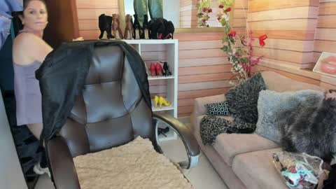 Sol online show from 31, 3, 2026