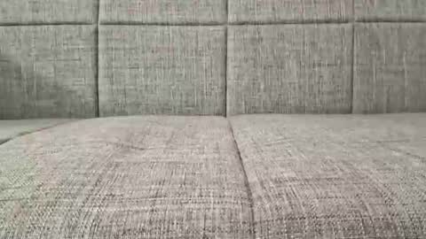 XXL online show from 8, 3, 2026