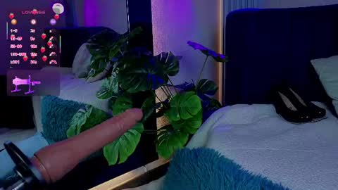 Snapshot of abby_dreamss chatting on 11, 6, 2026 Abby online show from 11, 6, 2026