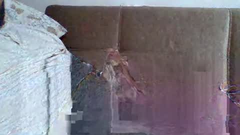 abdil_34 online show from 5, 2, 2025