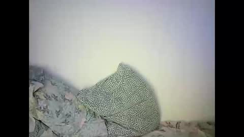 Snapshot of abigailove4u chatting on 22, 2, 2025 GoldenFish online show from 22, 2, 2025