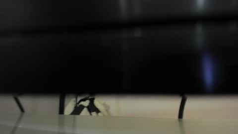 Abril 777 online show from 22, 2, 2026