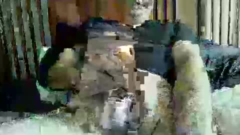 ace1man online show from 11, 10, 2025