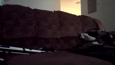 not going to tell you online show from 19, 10, 2025