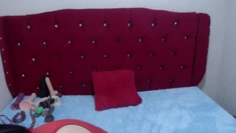 Ada online show from 20, 11, 2025