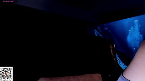 Adam online show from 22, 4, 2026