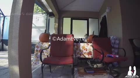 Adam And Eve online show from 1, 11, 2025