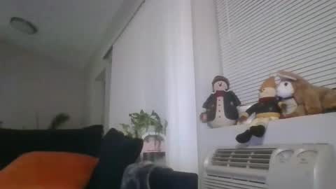 Britishadam online show from 1, 3, 2026