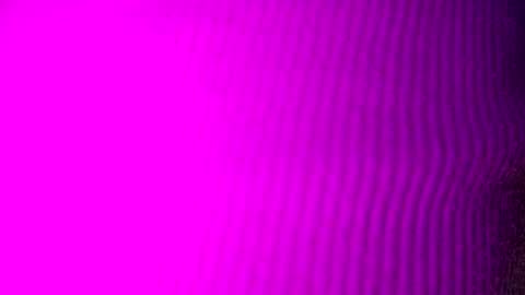 adamllamas online show from 15, 9, 2025