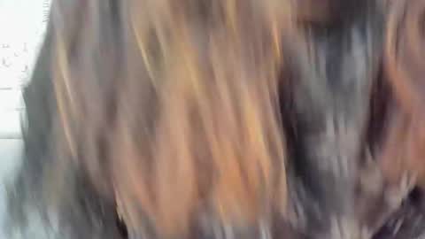 addi online show from 23, 12, 2024