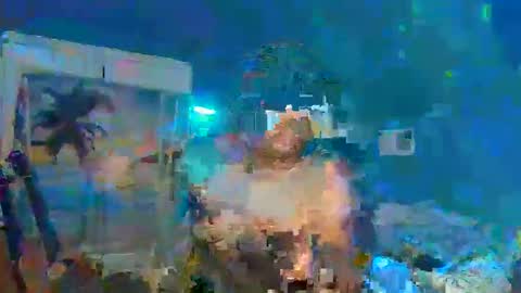 Snapshot of adoniswoody chatting on 31, 12, 2024 Adonis XDDDDDDDD Woody online show from 31, 12, 2024