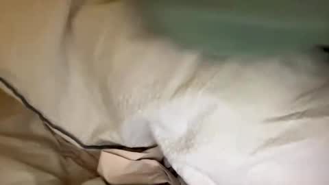 adriiiii online show from 24, 1, 2025