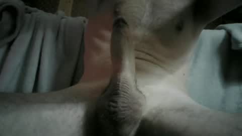 Snapshot of adryan_gym chatting on 4, 12, 2024 ADRY SKY online show from 4, 12, 2024