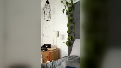 advbike online show from 13, 3, 2026