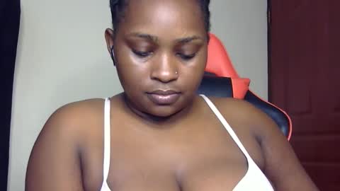 stella online show from 3, 4, 2026