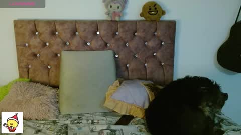 Cris owo online show from 6, 1, 2026