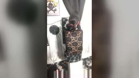 afroluz online show from 27, 4, 2026