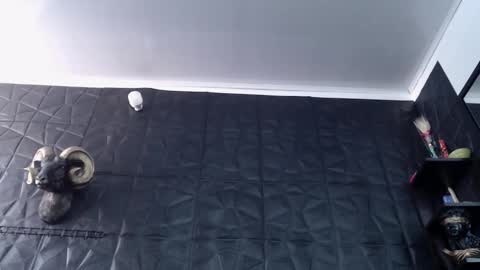  Miss Agata  online show from 7, 3, 2026