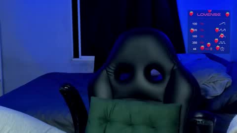 Cat online show from 24, 11, 2025