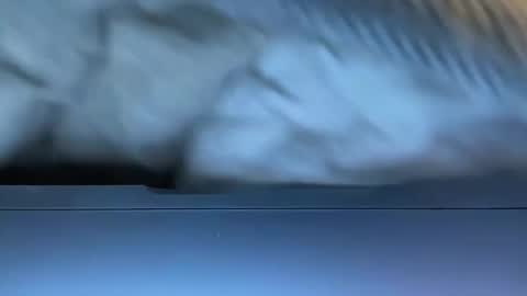 Snapshot of agentactionjackson chatting on 8, 1, 2025 Agent Action Jackson online show from 8, 1, 2025