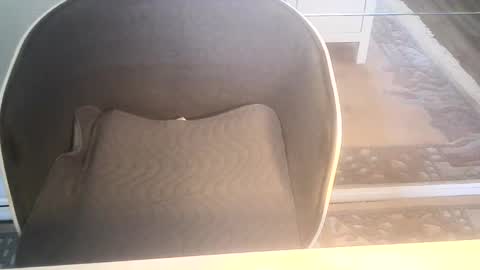 Snapshot of ahmole chatting on 10, 1, 2025 Ole online show from 10, 1, 2025