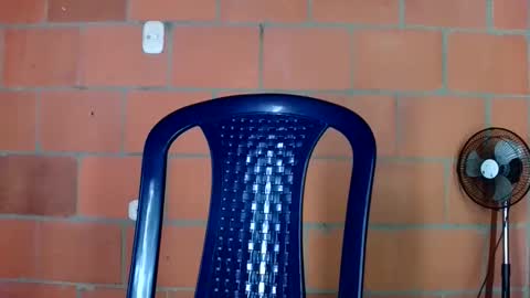 aisha koswell3 online show from 12, 1, 2026