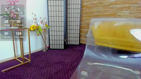 Aisha online show from 6, 11, 2025