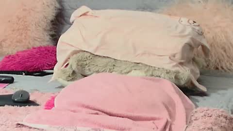 Aitanna Love online show from 10, 3, 2026