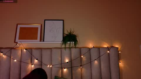  Alaia  online show from 14, 11, 2025