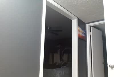 Alanna Rack online show from 16, 3, 2026