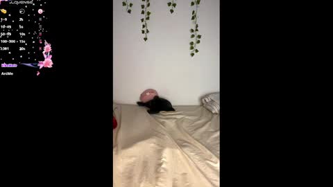 Snapshot of alaska_drew chatting on 25, 2, 2025 Alaska online show from 25, 2, 2025