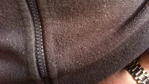 Snapshot of albert29 chatting on 14, 2, 2026 albert29 online show from 14, 2, 2026