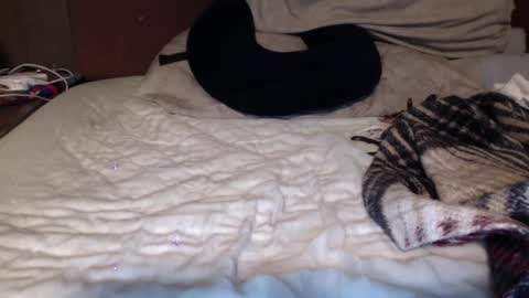 Snapshot of albertalbert9 chatting on 13, 12, 2024 albertalbert9 online show from 13, 12, 2024