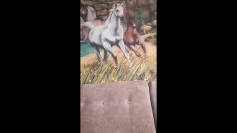 albina online show from 13, 2, 2026