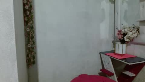 Snapshot of aleja_swety chatting on 2, 12, 2024 ALEJA online show from 2, 12, 2024