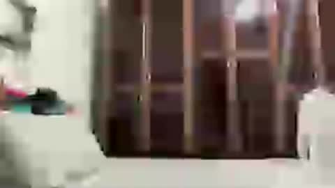 Snapshot of alessandromori91 chatting on 15, 6, 2026 alessandromori91 online show from 15, 6, 2026