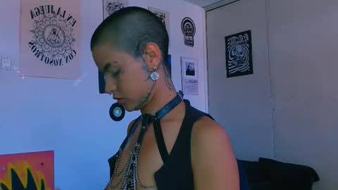 Alex online show from 27, 2, 2026