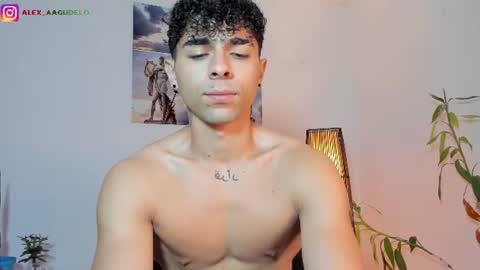 Snapshot of alex_zt7 chatting on 12, 6, 2026 x online show from 12, 6, 2026