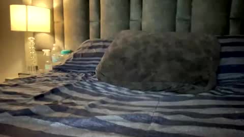 alexander grey online show from 12, 3, 2025