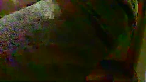 Alex online show from 6, 10, 2025