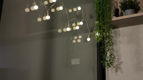 Snapshot of alexwos chatting on 23, 1, 2025 Alex online show from 23, 1, 2025