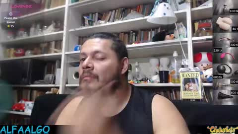 Snapshot of alfaalgo chatting on 20, 2, 2026 Alfa online show from 20, 2, 2026