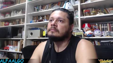 Snapshot of alfaalgo chatting on 24, 2, 2026 Alfa online show from 24, 2, 2026