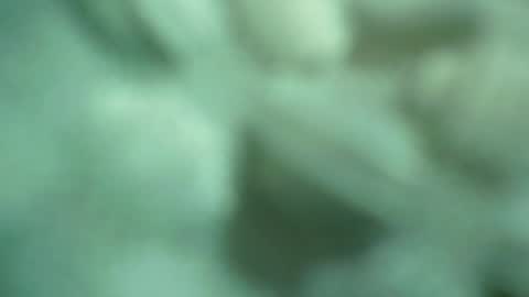 ali_asianguyuk online show from 1, 12, 2025