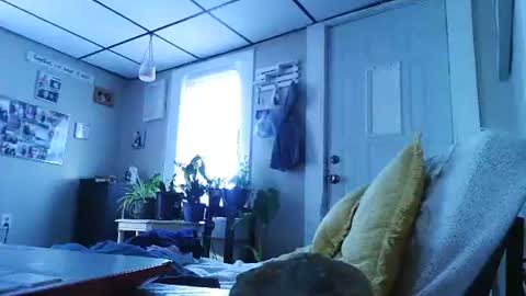 ali_tayler online show from 8, 11, 2025