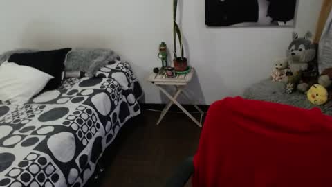 alice_nip online show from 13, 1, 2025