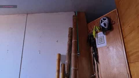 alice_randyy online show from 12, 2, 2026