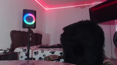 aliceesmiths online show from 10, 2, 2025