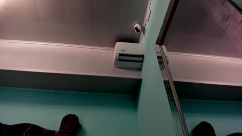 Snapshot of aliice_greco chatting on 31, 12, 2024 Alice online show from 31, 12, 2024